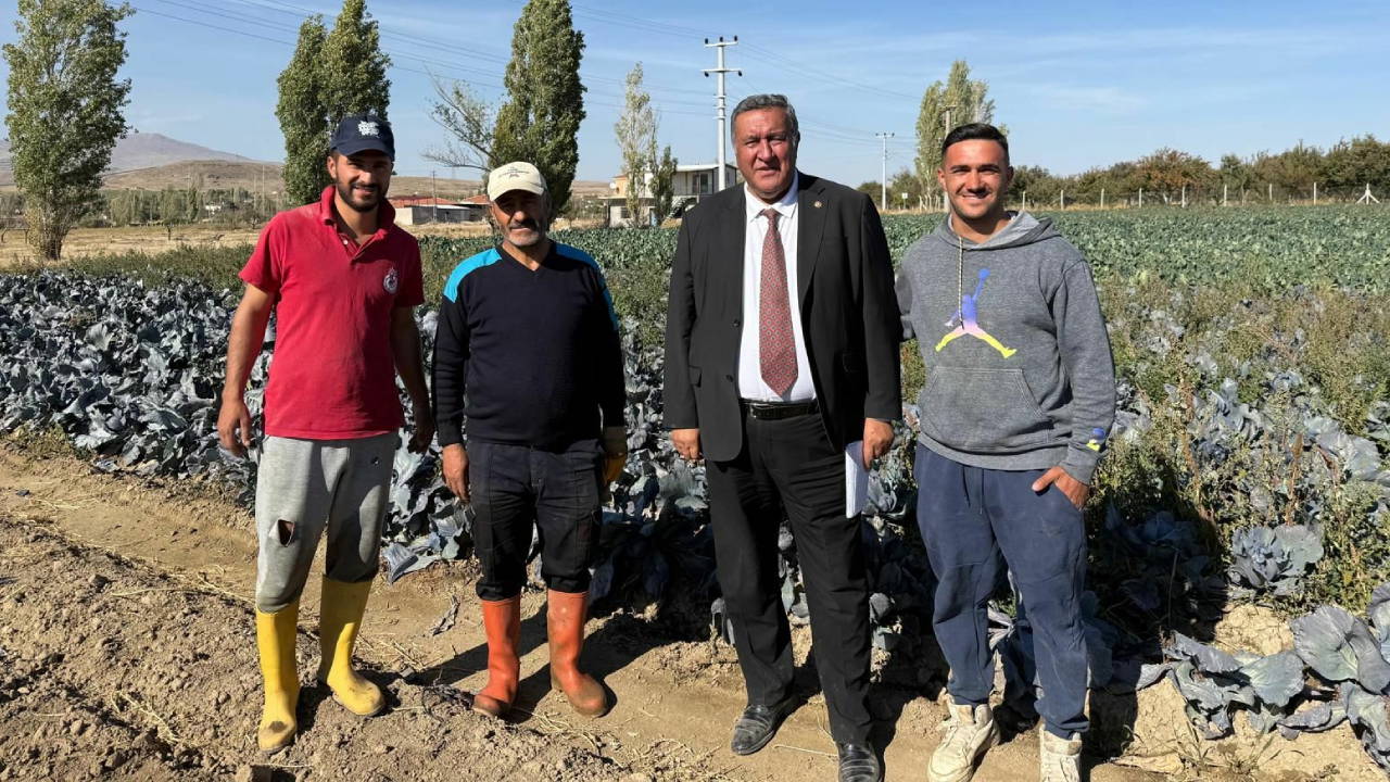 Çiftçi artık sigorta yaptırmıyor : 'Maliyetini karşılamadığı için...'