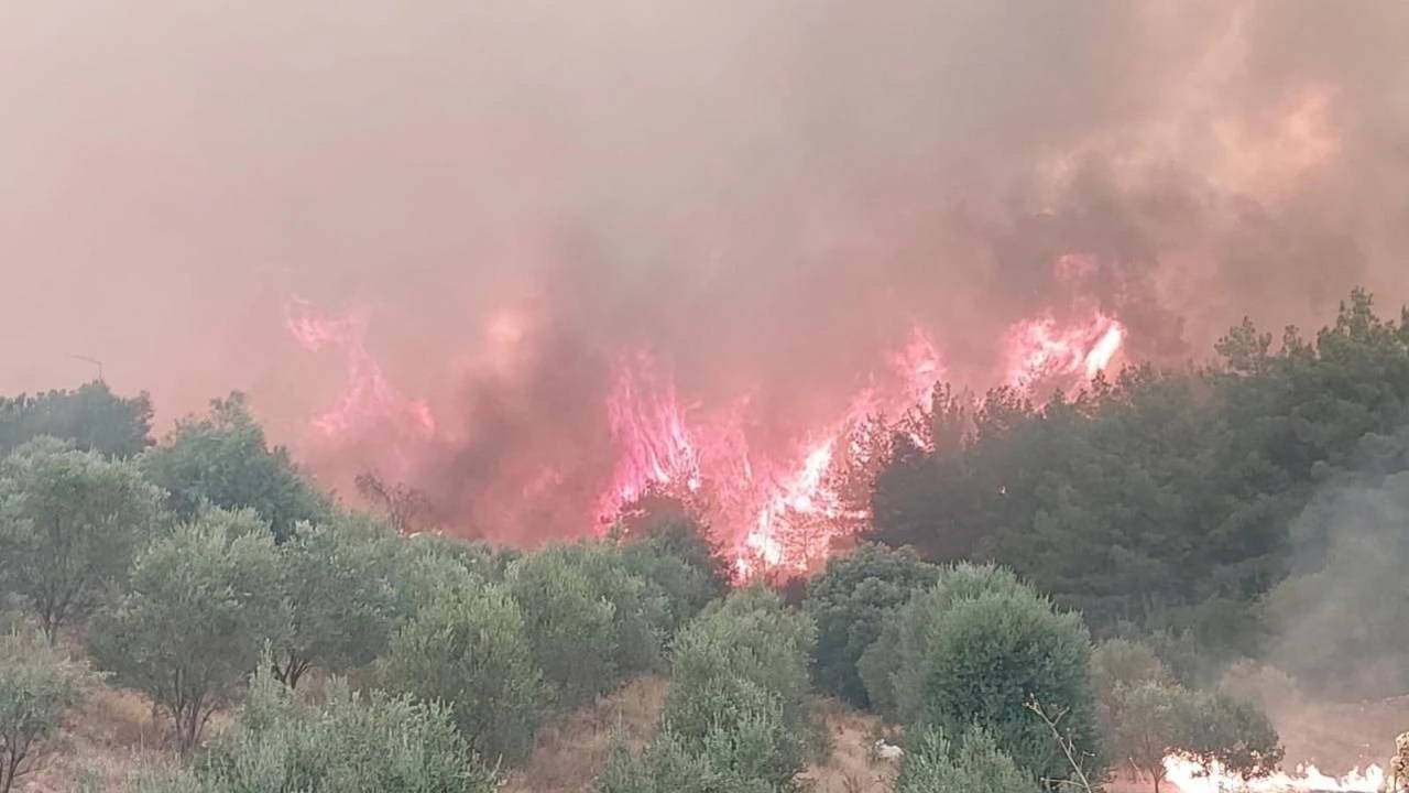 Ataşehir'de orman yangını kontrol altına alındı