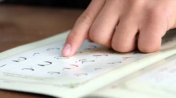 İstanbul Valisi Davut Gül İBB kreşleri için 'şikayetler var' dedi: '100 tane 4-6 yaş Kuran kursu açacağız'