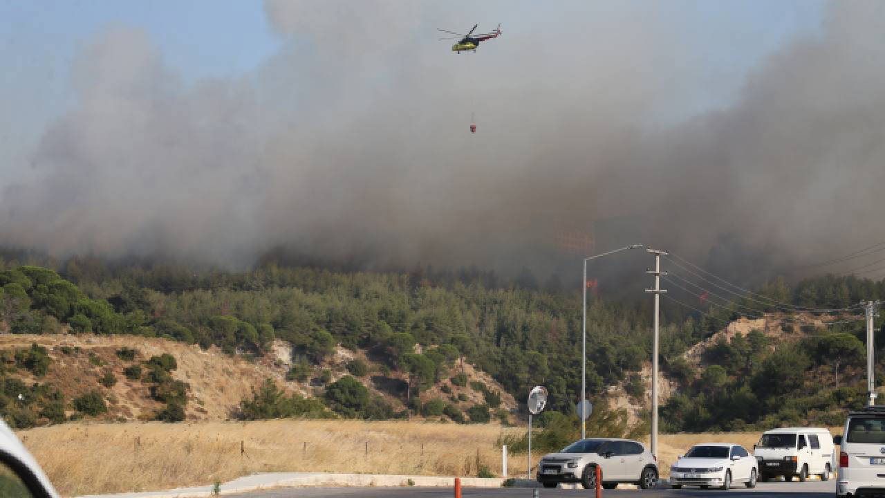 OGM'den Mersin ve Çanakkale'deki yangınlara ilişkin açıklama!