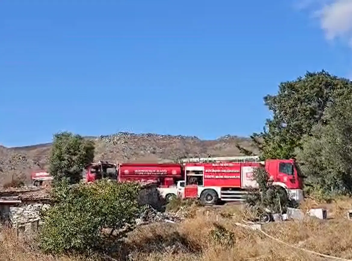Galeri Görseli