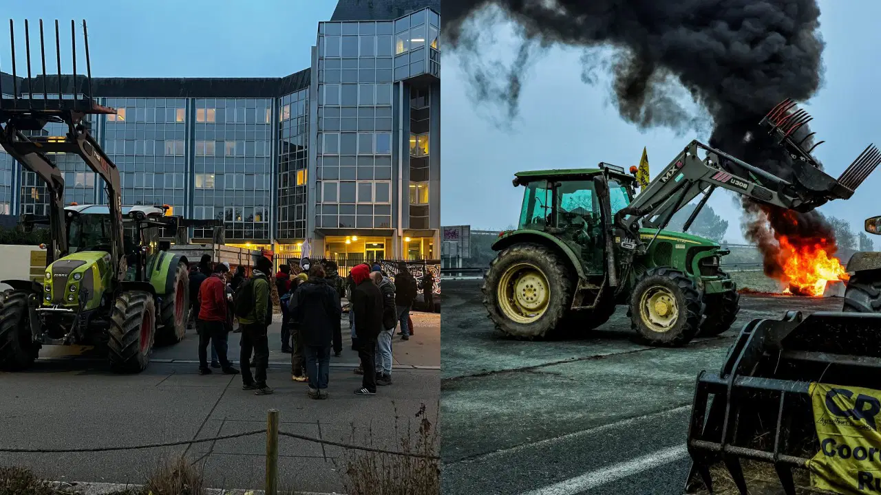 Toplu itlaf kararı Fransa’yı karıştırdı