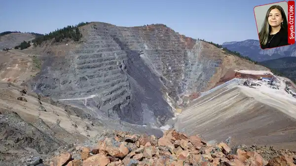 Maden için kesilecek yüzbinlerce ağacın idam fermanı yayımlandı!