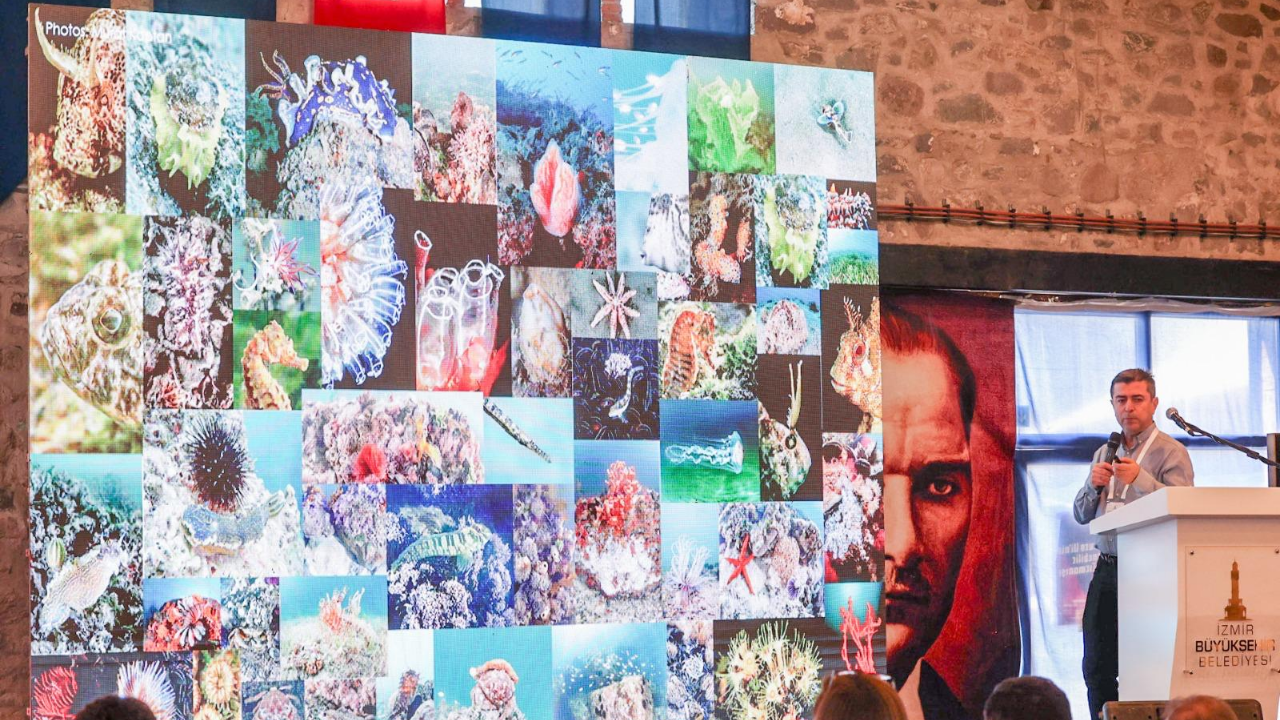 İzmir Körfezi'ne bilimsel bakış