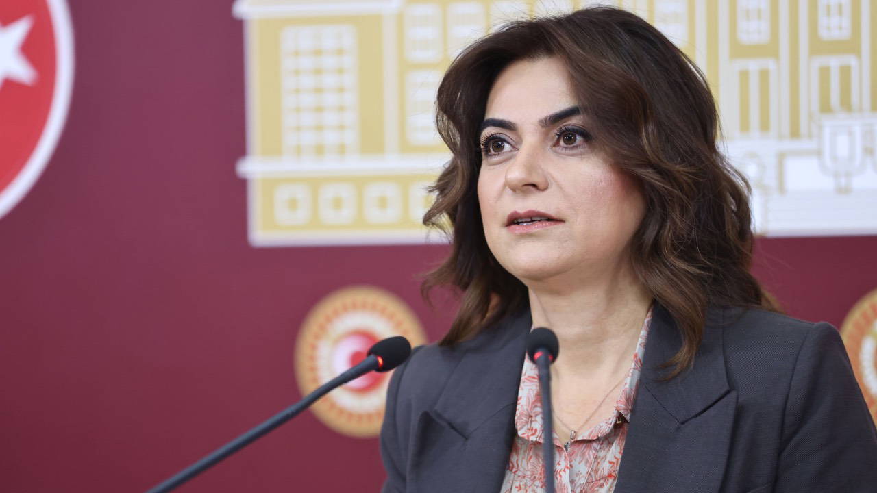 İmralı’ya giden DEM Parti Grup Başkanvekili Koçyiğit’ten ilk açıklama