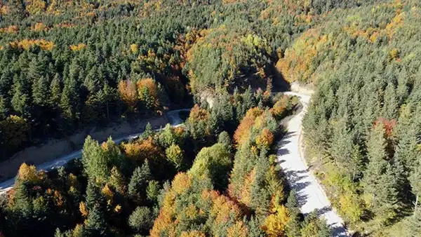 Bolu'da kritik uyarı: Orman yangını riski artıyor