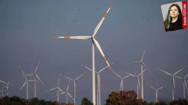 Yenilenebilir enerji için Balıkesir'deki orman gözden çıkarıldı: 20 türbin kurulacak