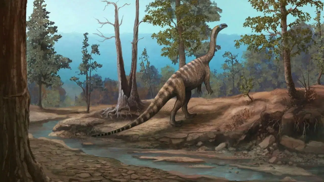 Bilim insanlarından ezber bozan araştırma: Afrika'da evrim tarihini değiştiren yeni dinozor türü bulundu