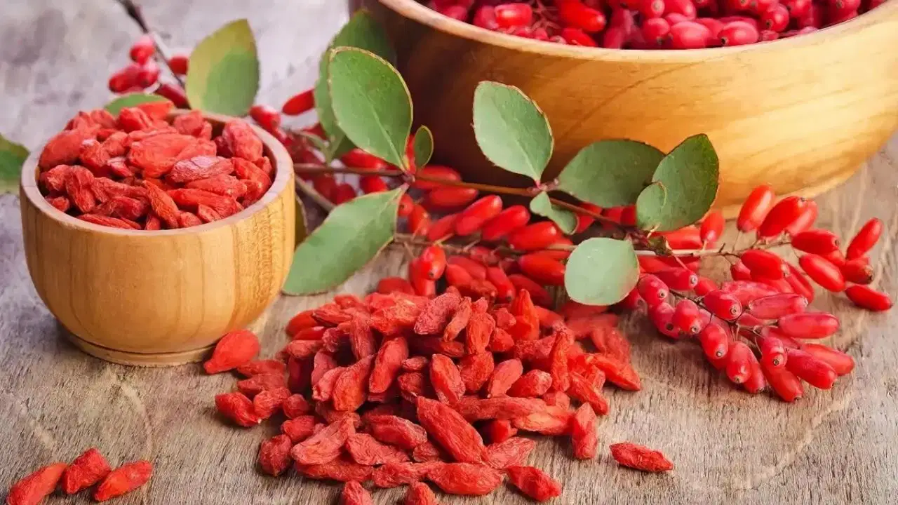 Metabolizmayı uyandıran doğal güç: Berberin nedir, ne işe yarar?