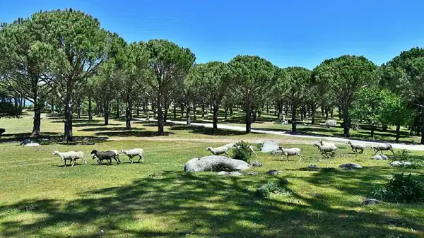 UNESCO adayı bölgeye ‘granit ocağı’ projesi... Belediye yargıya taşıdı!