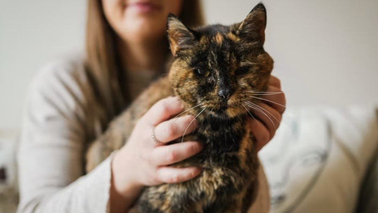 Dünyanın bilinen en yaşlı kedisi 30 yaşına girdi