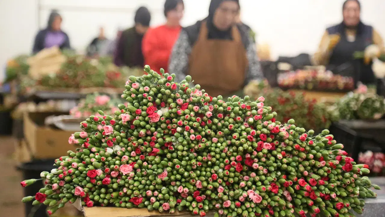 Son Dakika Haber Görseli