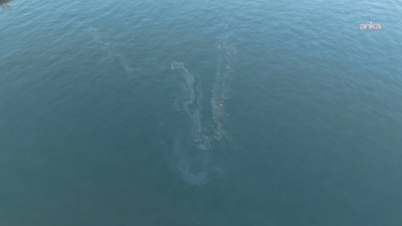 İzmir Körfezi’nde deniz kirliliği tespit edildi