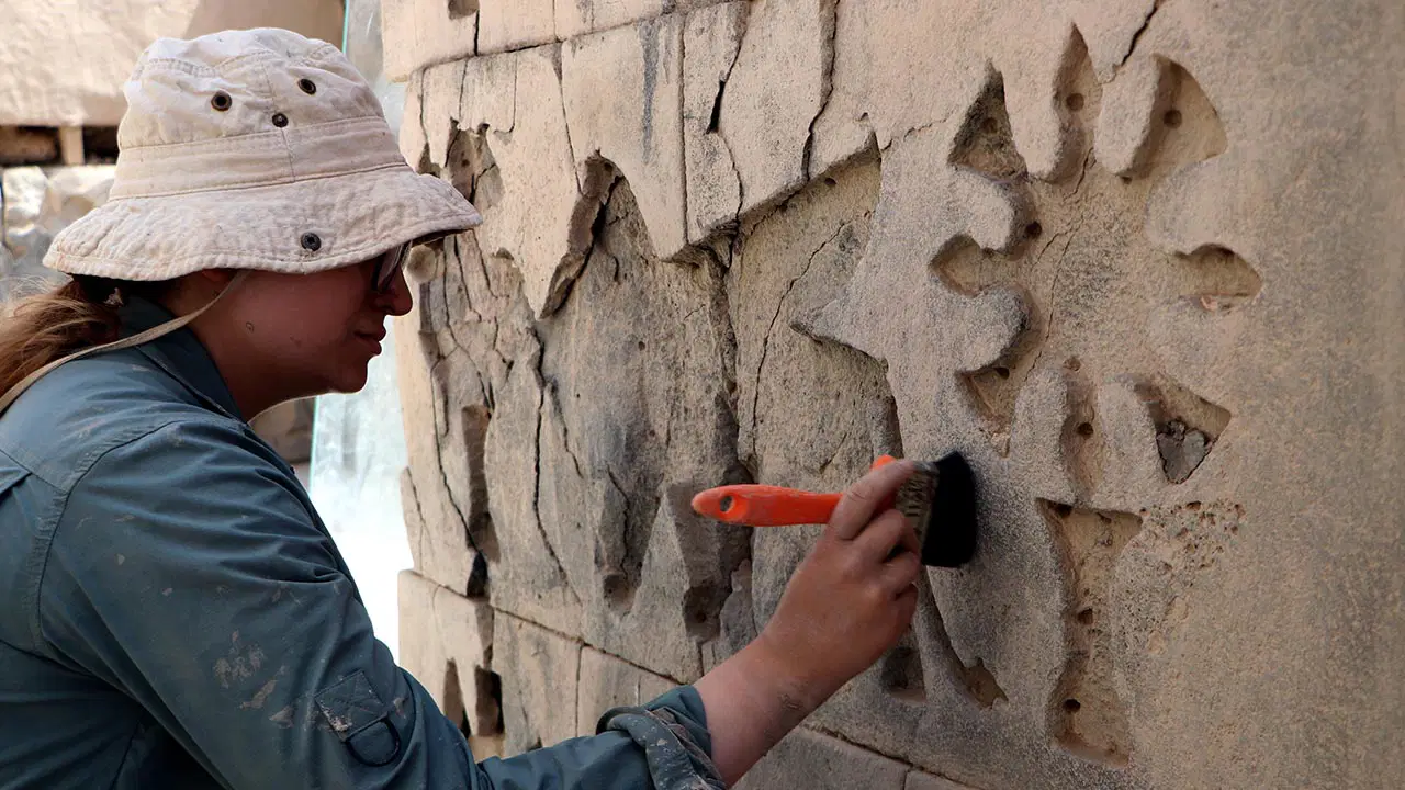 Urartu'nun DNA'sı araştırılıyor