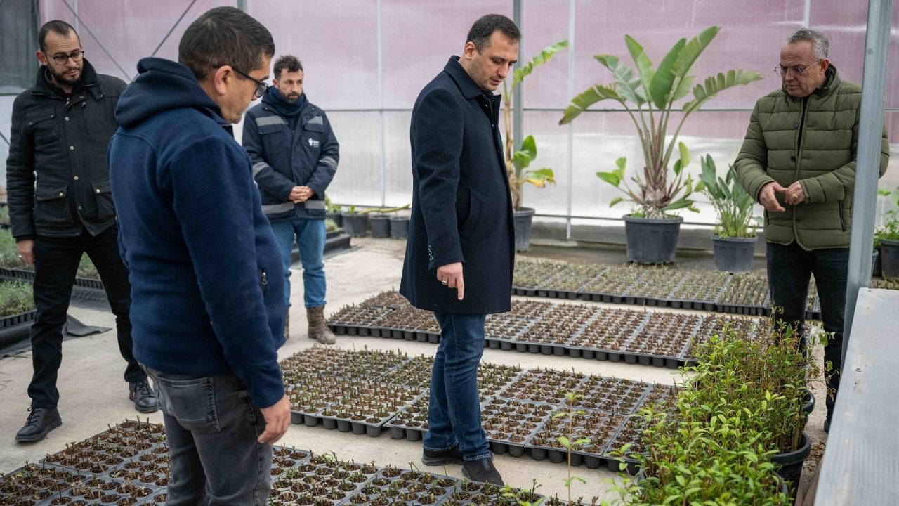 Bornova kendi fidanını kendi üretiyor