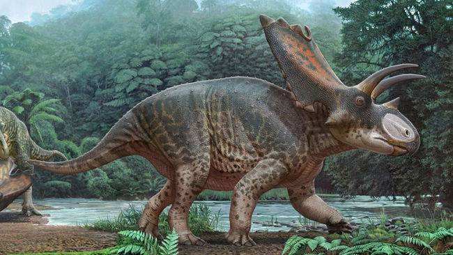 Tayland'da yeni bir dinozor türüne ait kalıntılar bulundu