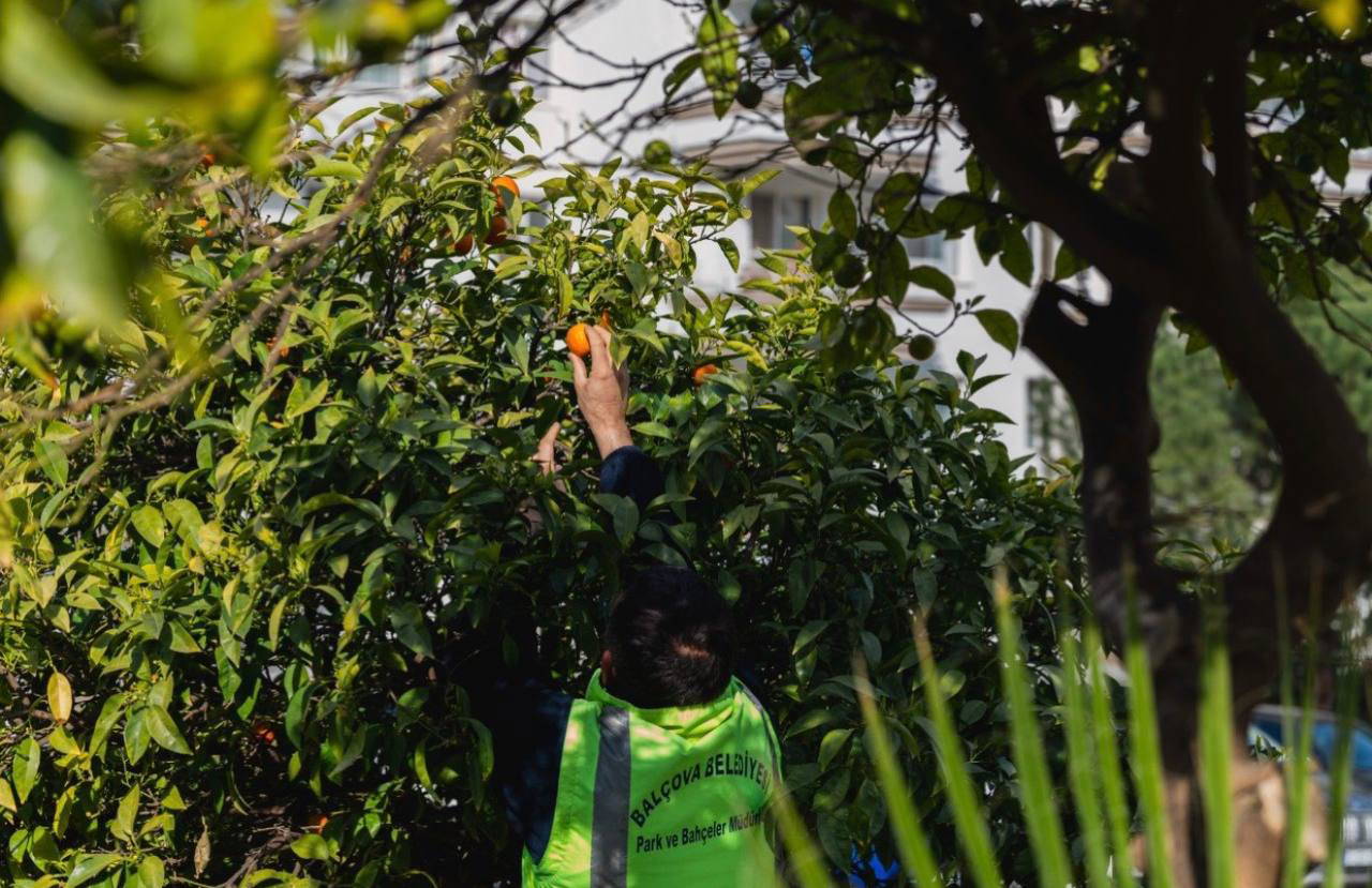 Balçova Belediyesi'nden Türkiye’ye örnek bir dayanışma hikâyesi