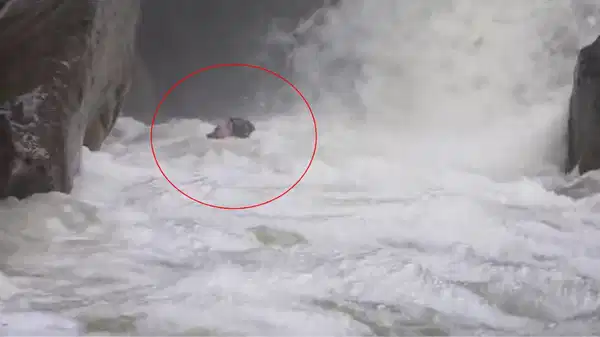 Ölümle burun buruna geldi... Dağcının zor anlarrı kameraya yansıdı!