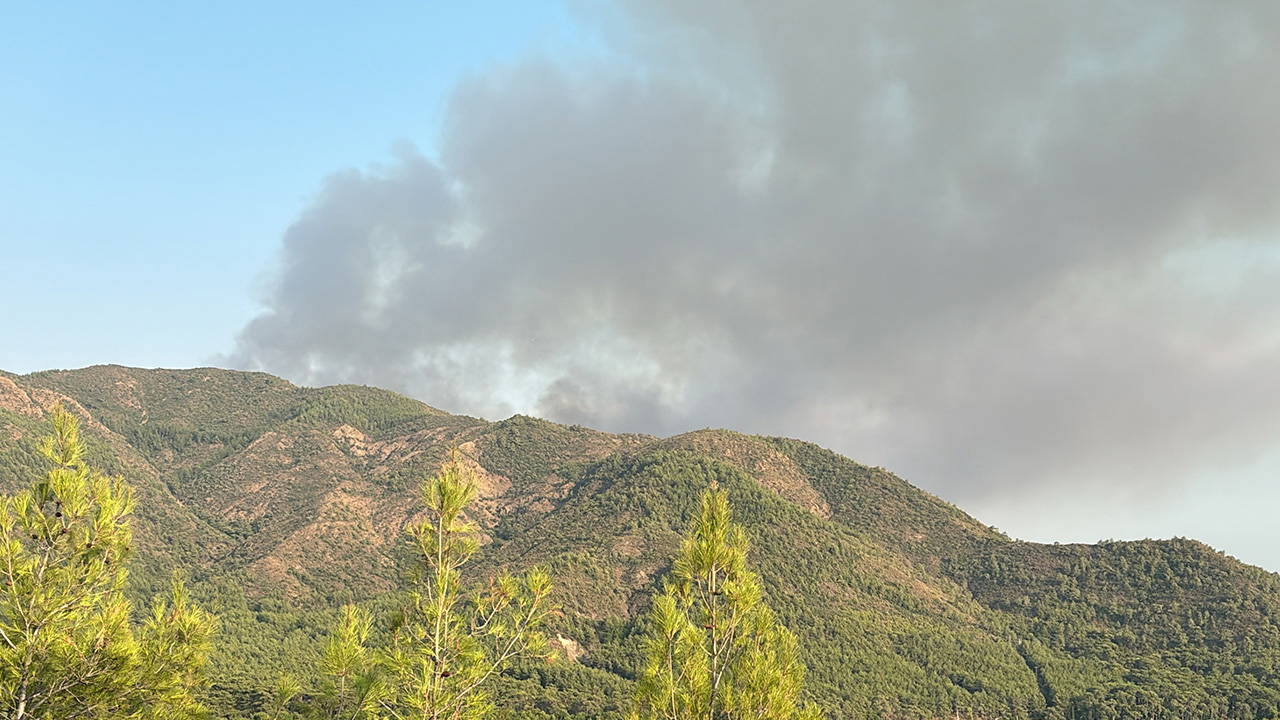 Marmaris'te orman yangını ikinci gününde kontrol altına alındı
