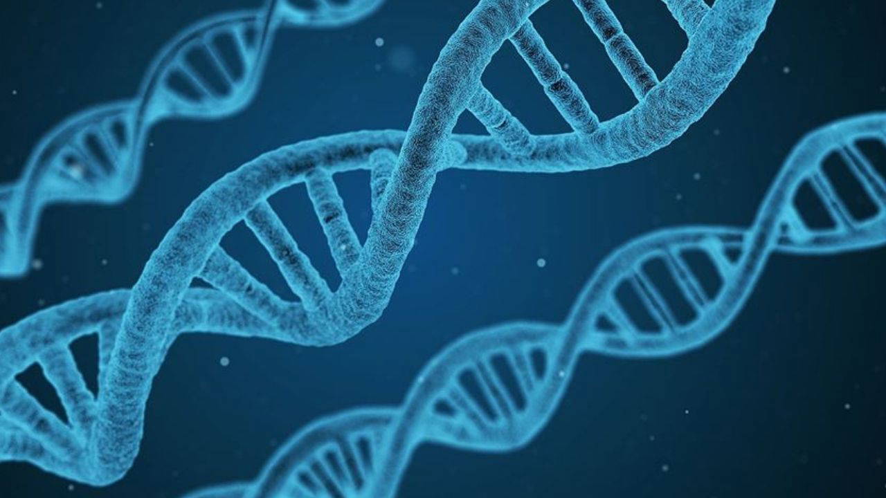 Genetik mühendisliğinde devrim: Evrim süreci 100 bin kat daha hızlı olacak
