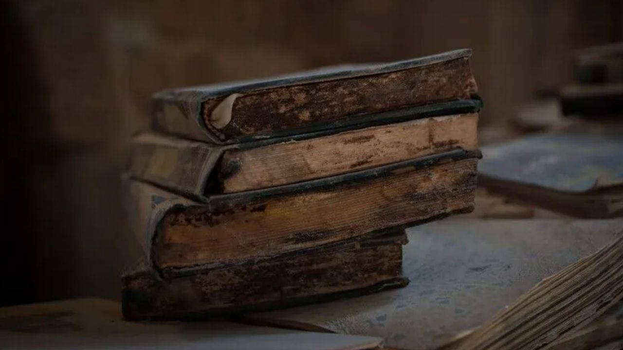 Nadir kitaplar yapay zeka için "kurban" mı ediliyor?
