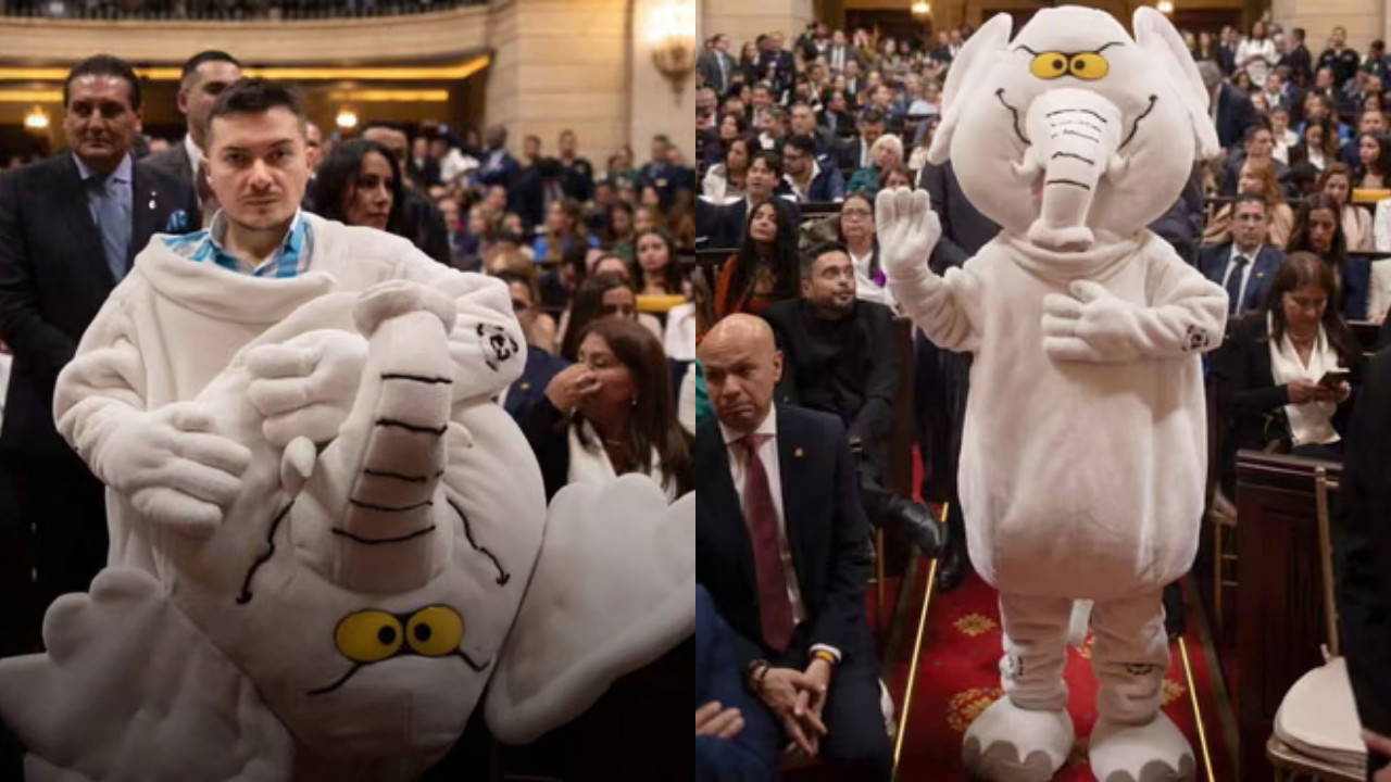 Kolombiya Senatosu’nda bir ilk: Yolsuzlukları 'beyaz fil' olarak anlattı, senatör oldu