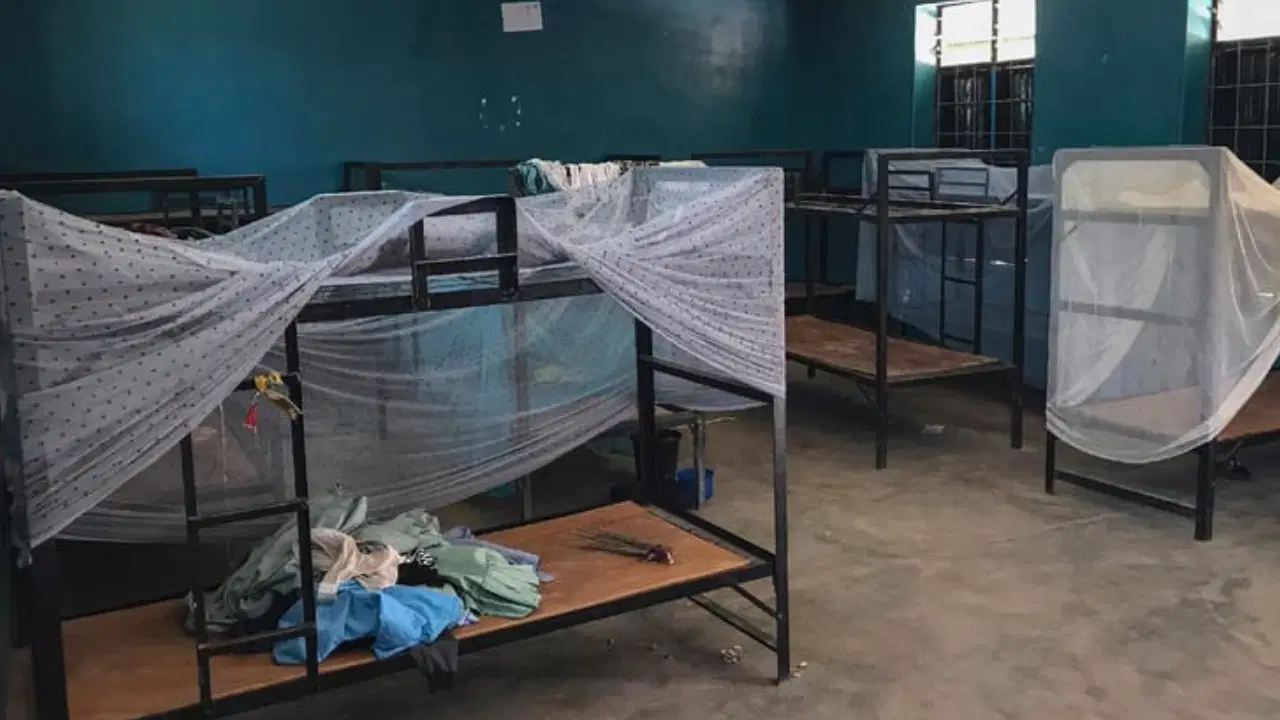 Nijerya'da okuldan kaçırılan 300 öğrenciden 50'si kaçtı