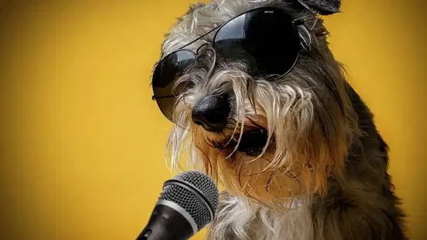 Araştırma: Bilim insanları köpeklerin konuşup konuşamayacağını araştırdı