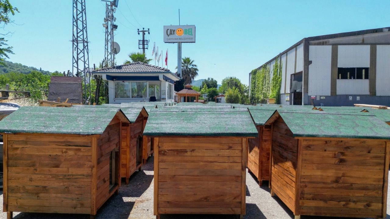 Zonguldak Çaycuma Belediyesi’nden yüzlerce köpek kulübesi