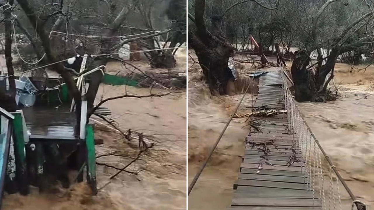 Yalova’da sağanak nedeniyle dereler taştı, 5 büyükbaş öldü