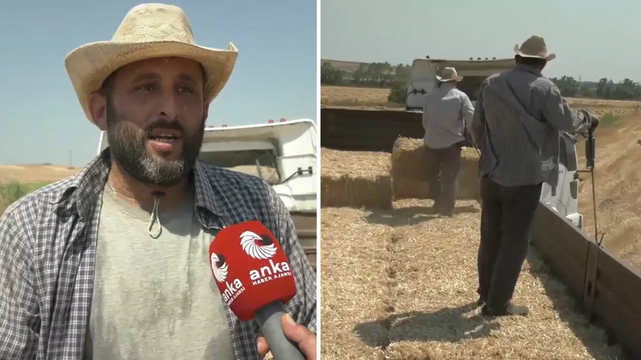 Silivri'de 39 derece sıcaklıkta saman toplayan işçiler: 'Devletimize oy verdik, pişmanız'