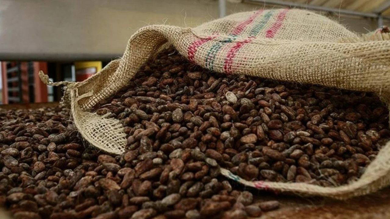 Küresel ekolojik kriz derinleşiyor: İşte, kaybolduğunu fark etmediğimiz 7 şey!