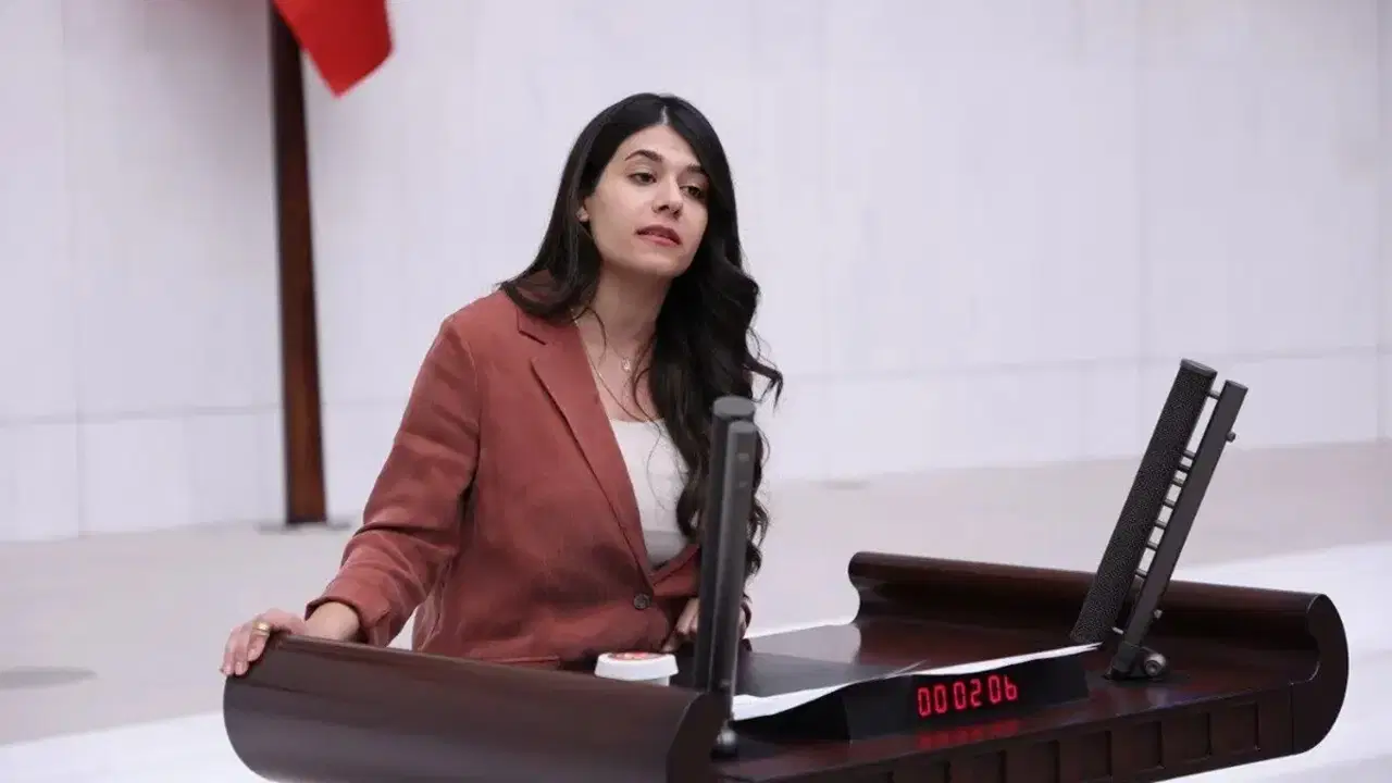 DEM'li Beritan Güneş'ten 'fon krizi' açıklaması: 'Çok büyük bir vurgunla karşı karşıyayız'