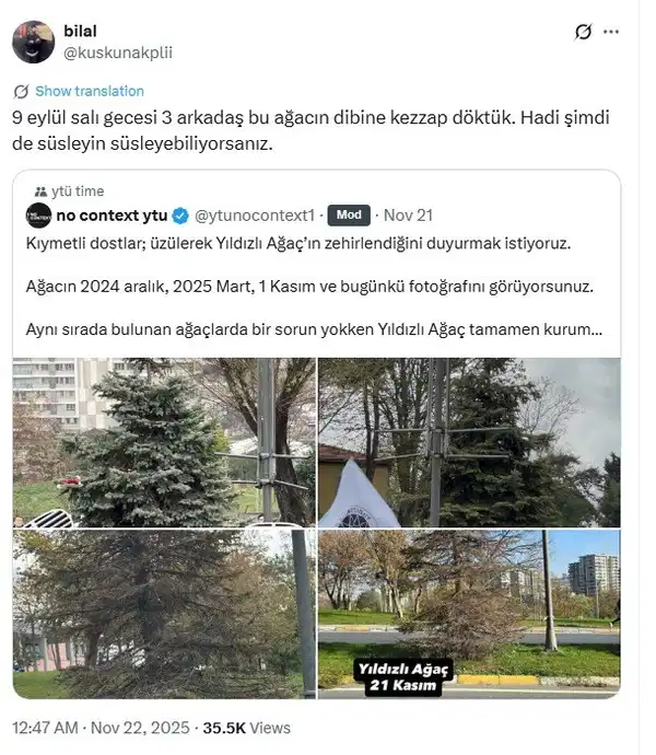 Önce ve sonra karşılaştırma görüntüleri