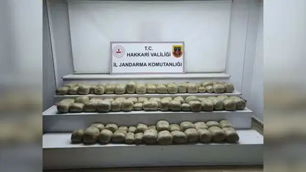 Hakkari'de uyuşturucu operasyonu: 253 kilo esrar ele geçirildi