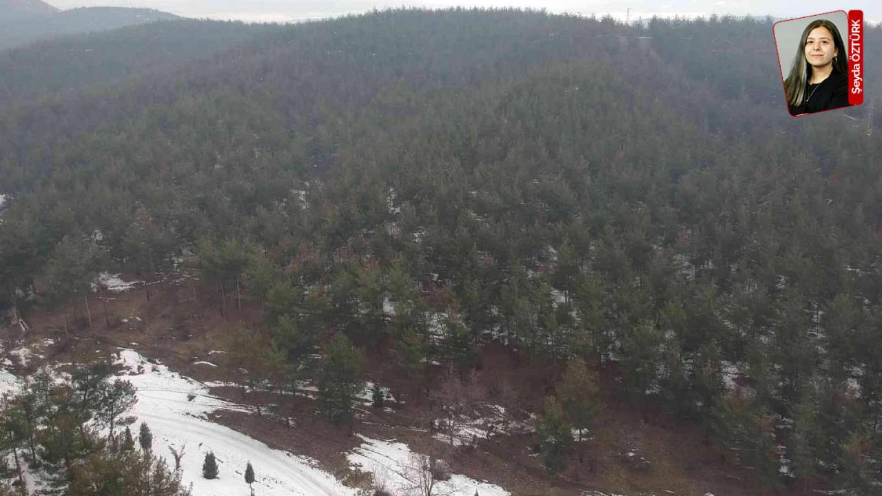 Maden ocağı için aynı gün tarih verildi...