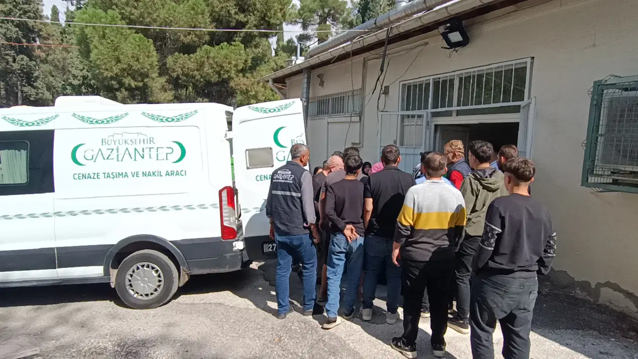 Galeri Görseli
