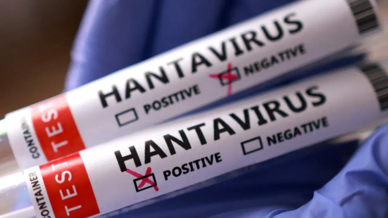 Gemide karantina, kırsalda alarm: Hantavirüs kapımızda mı?