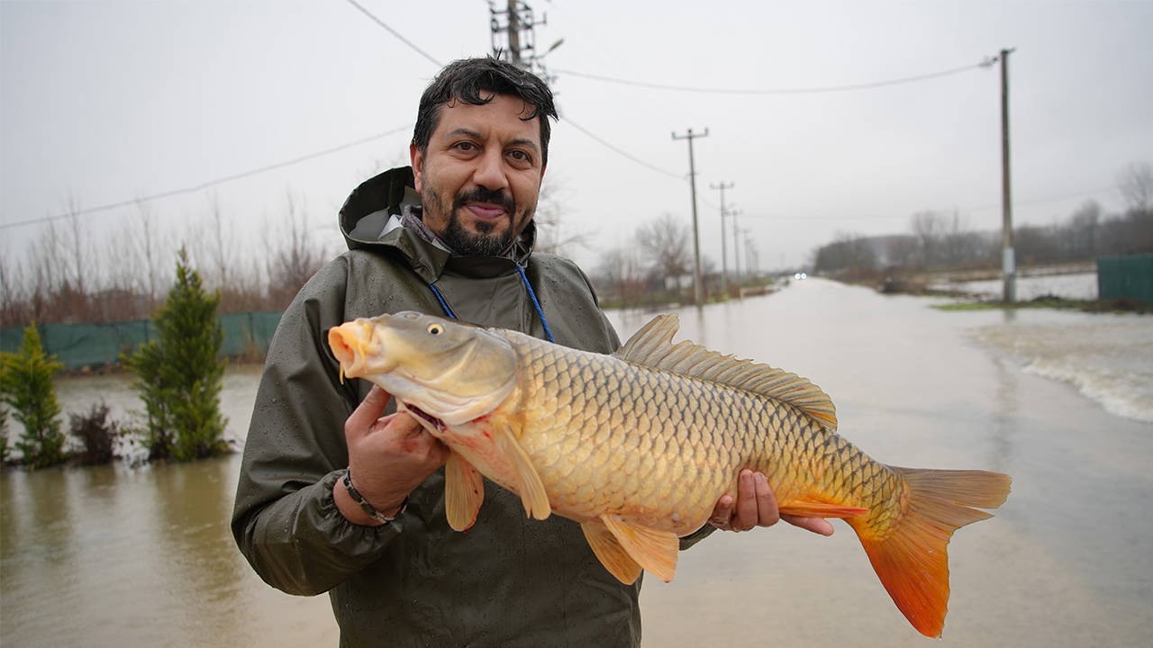 Meriç Nehri çekildi, geriye 7 kiloluk sürpriz kaldı: Tarlasında dev balık buldu