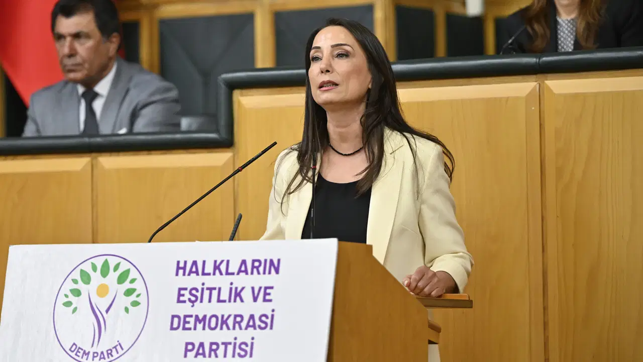 Hatimoğulları'ndan 'çerçeve yasa' için 'son düzlük' açıklaması: 'Son İmralı ziyaretinde oluşan mutabakat yasaya yansımalı'