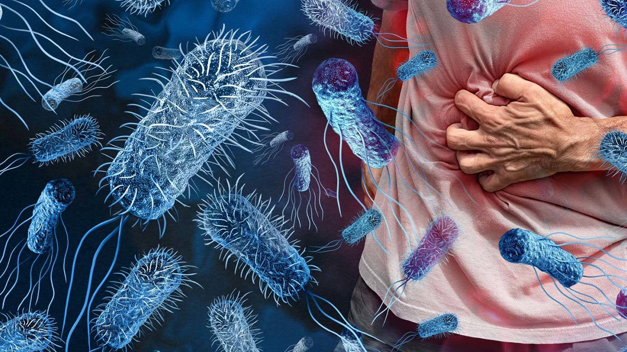 Uzmandan uyarı: Salmonella sadece mideyi değil, organları da vuruyor