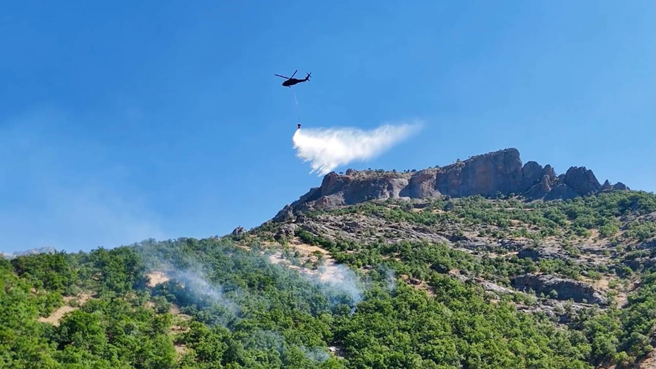 Munzur Vadisi Milli Parkı'ndaki yangın kontrol altına alındı