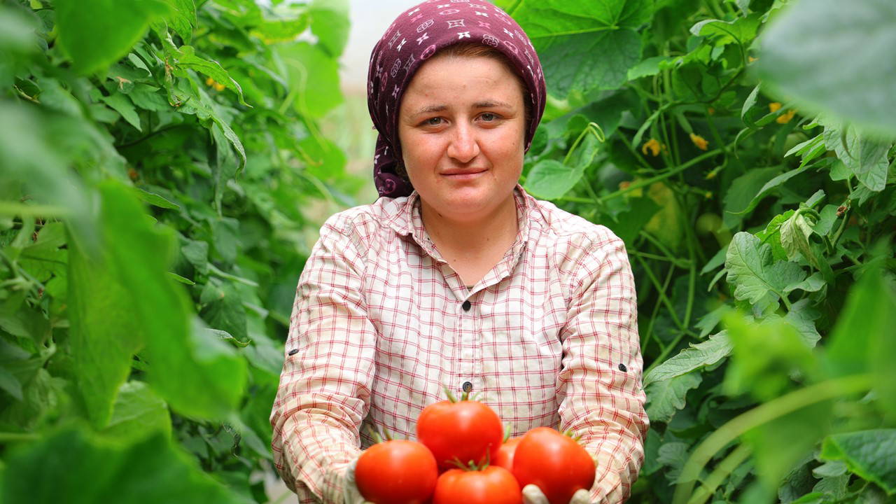 Adının hakkını veren mahalle: Her mevsim üretim var! Türkiye'nin 20 iline gönderiliyor...