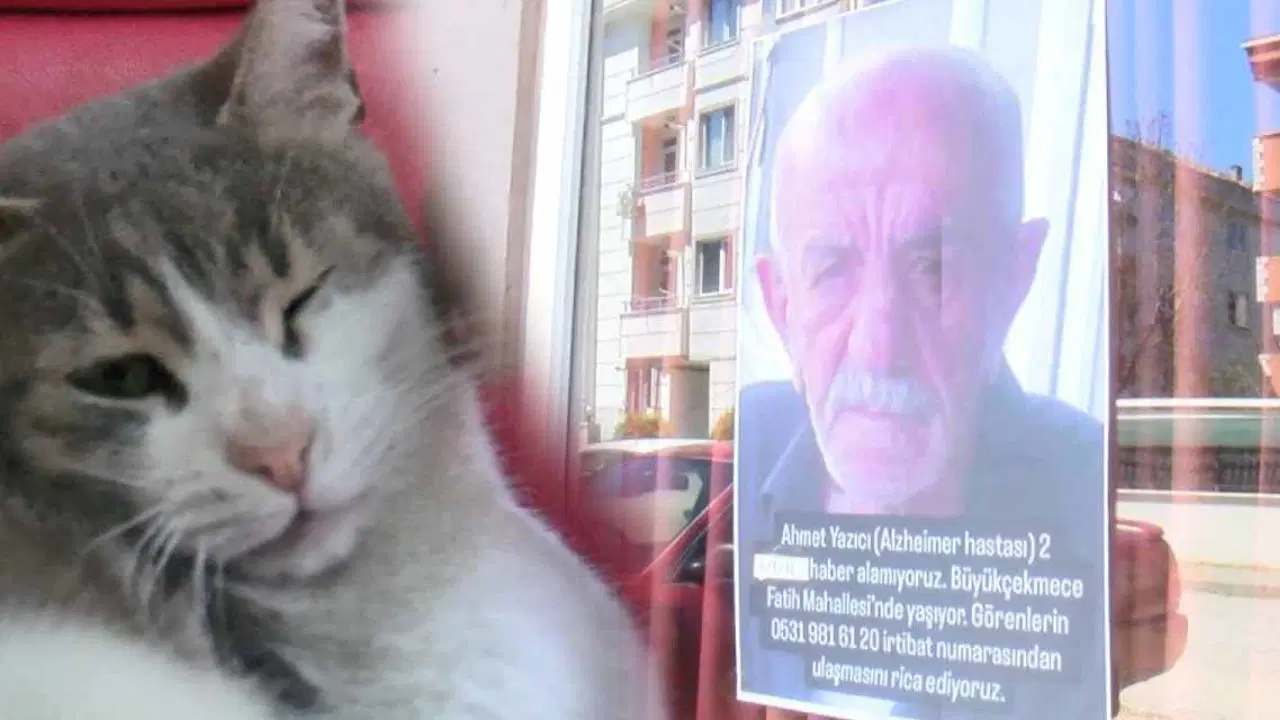 Kayıp Alzheimer hastası 40 gündür bulunamadı: Yakınları ve kedisi 'Zilli'onu bekliyor