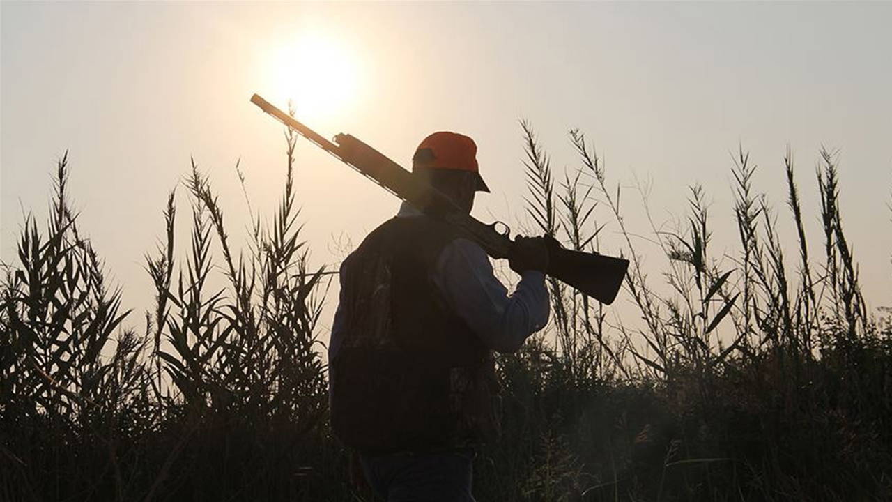 'Kızıl geyik' ve 'yaban koyununun' avlanmasına ilişkin suç duyurusu