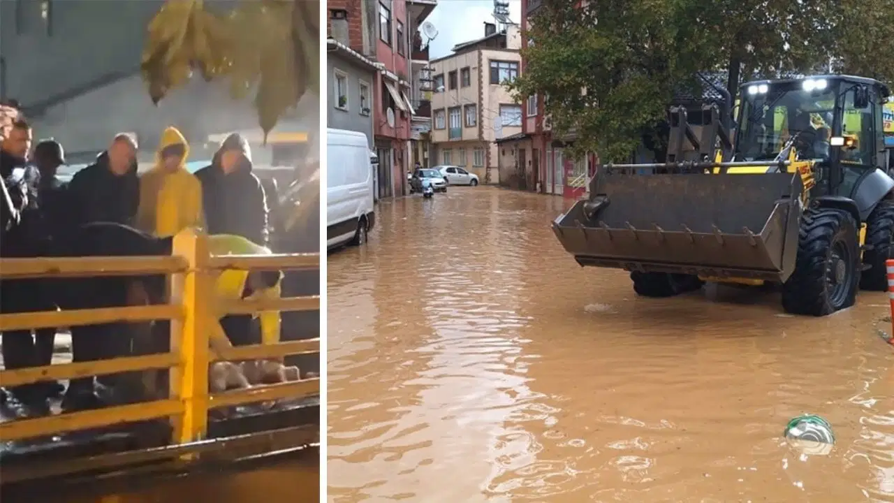 Yalova'da sağanak yağış sonrası pes dedirten görüntü: Yağmurun durması için köprüde kurban kestiler