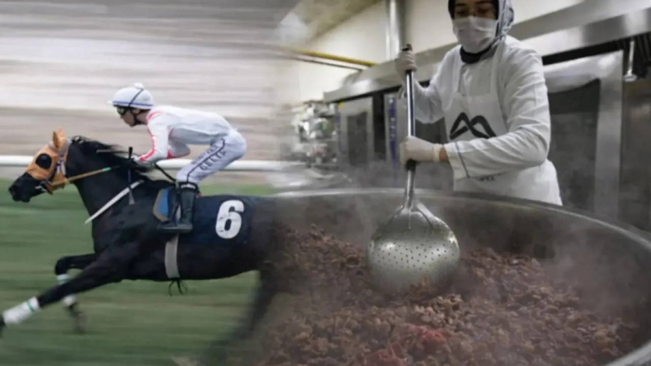 CHP'li Kış'tan Bakan Yumaklı'ya 'kesilen yarış atı' sorusu