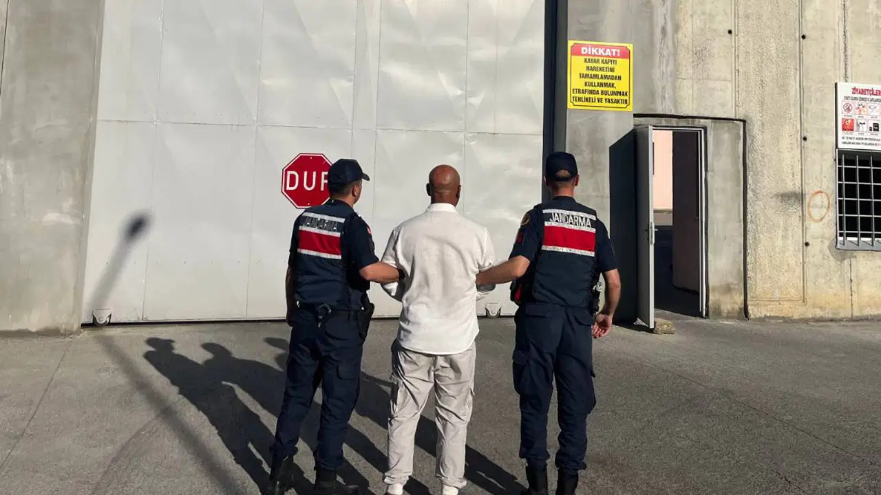 Sakarya'da operasyon... 6 kilo esrar ile 102 kök kenevir ele geçirildi: 4 tutuklama