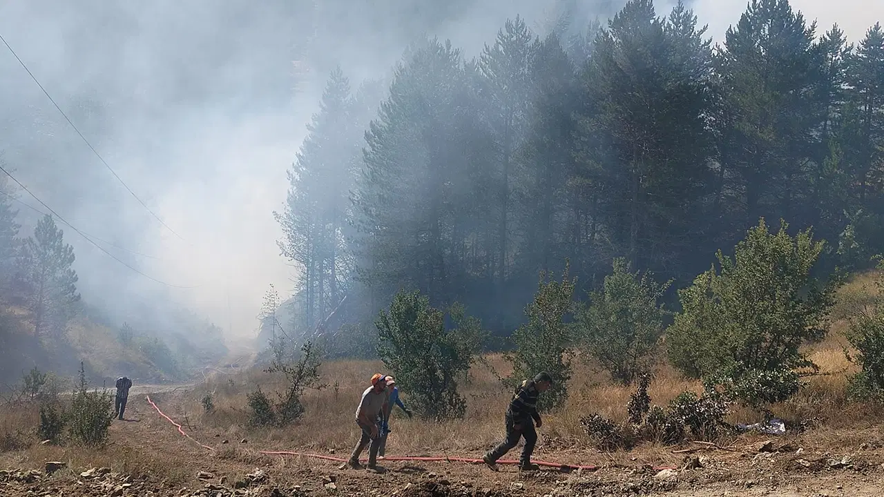 Adalet Bakanı Akın Gürlek açıkladı: 64 orman yangınıyla ilgili 11 tutuklama