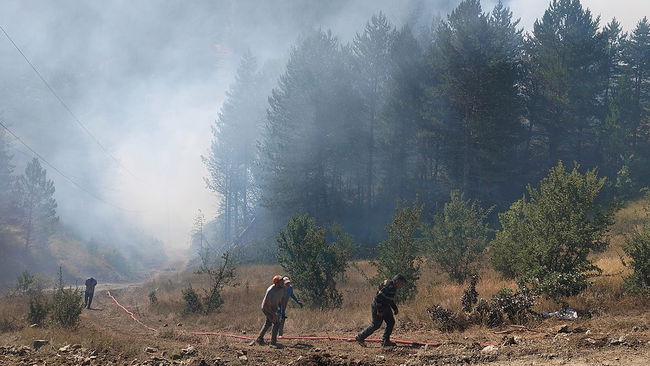 Orman yangınlarının bilançosu: Kaç kişi tutuklandı?
